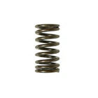 Psychic Exhaust Valve Spring XU-09541ES New. Price: $6.04.