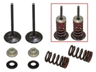 Psychic Intake Valve Kit XU-09531IK New. Price: $62.86.
