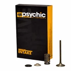 Psychic Intake Valve & Spring Kit Gas EC450F 2013-2015 New. Price: $86.29.