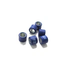 P242068 Polini Variator Rollers 16X13 5.6 Malaguti 50 F10 Wap 2004-2004 Nuovo. Price: $16.79.