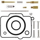 Balls 26-1126 Carburetor Rebuild Kit New. Price: $48.85.