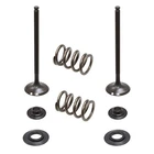 Psychic Exhaust Valve Kit For Ktm Fits 2008-2013 250 Sx-f & Exc-f New. Price: $64.95.