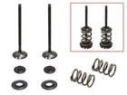 Psychic Exhaust Valve Kit XU-09551EK New. Price: $57.95.