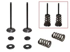Psychic Intake Valve Kit XU-09550IK New. Price: $66.50.