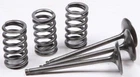 Psychic Intake Valve Spring Kit YZ250F New. Price: $71.95.