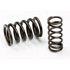 Psychic Exhaust Valve Springs XU-09503IS New. Price: $10.40.