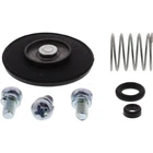 Balls 46-3008 Accelerator Pump Rebuild Kit New. Price: $25.13.