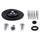 Balls Accelerator Pump Rebuild Kit 46-3005 New. Price: $25.13.