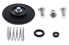 Balls Accelerator Pump Rebuild Kit 46-3005 New. Price: $26.44.