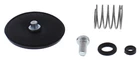 Balls Accelerator Pump Rebuild Kit 46-3007 New. Price: $26.90.